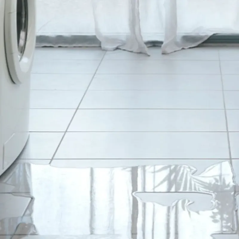 Appliance Leak Cleanup in West Sacramento, CA