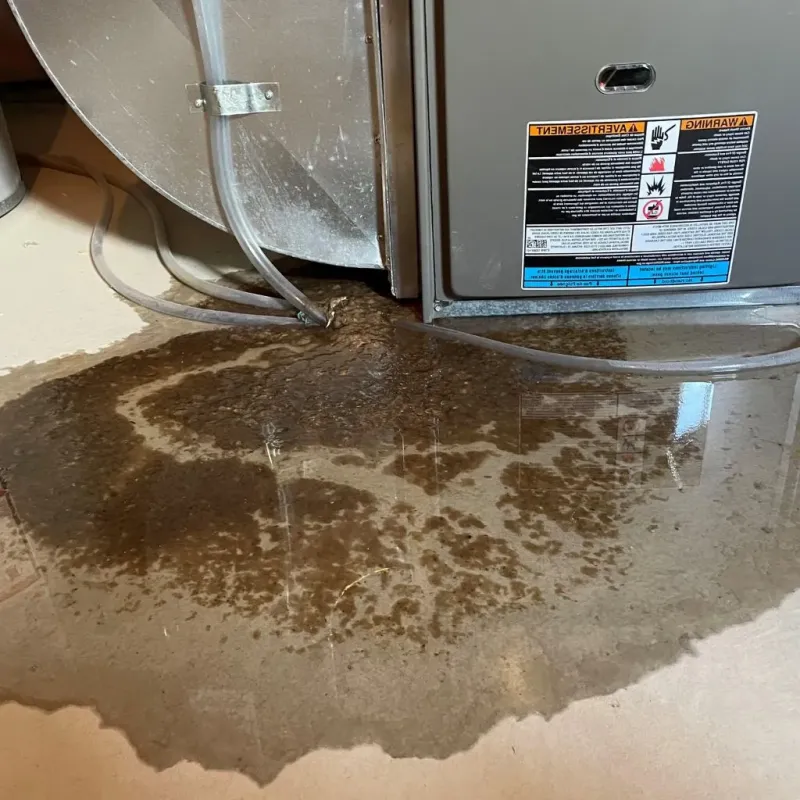 Pipe Burst and Leak Restoration in West Sacramento, CA
